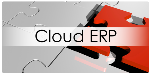 Cloud ERP