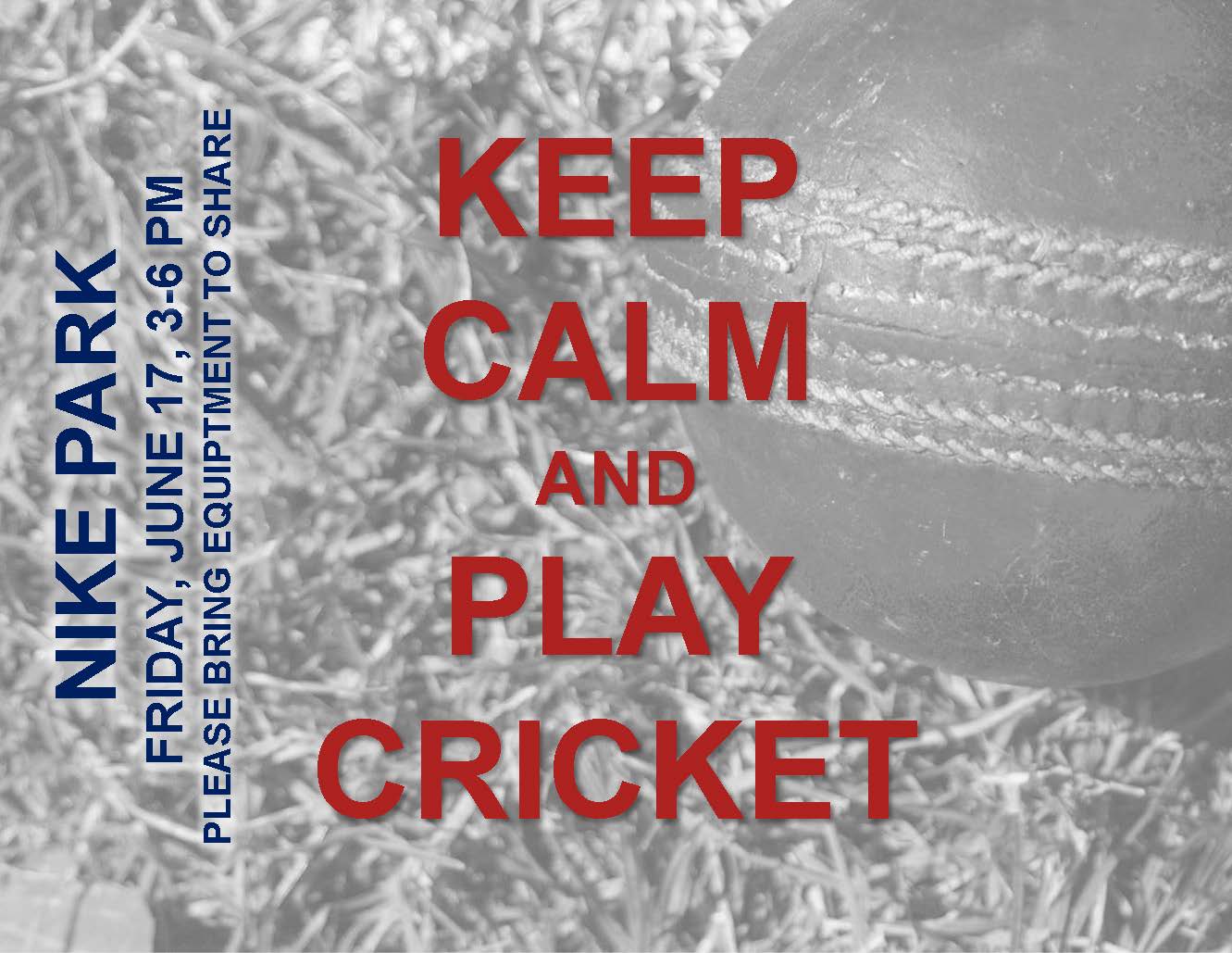 Cricket, Cricket – Competition Heating Up for Next Friday’s Match!