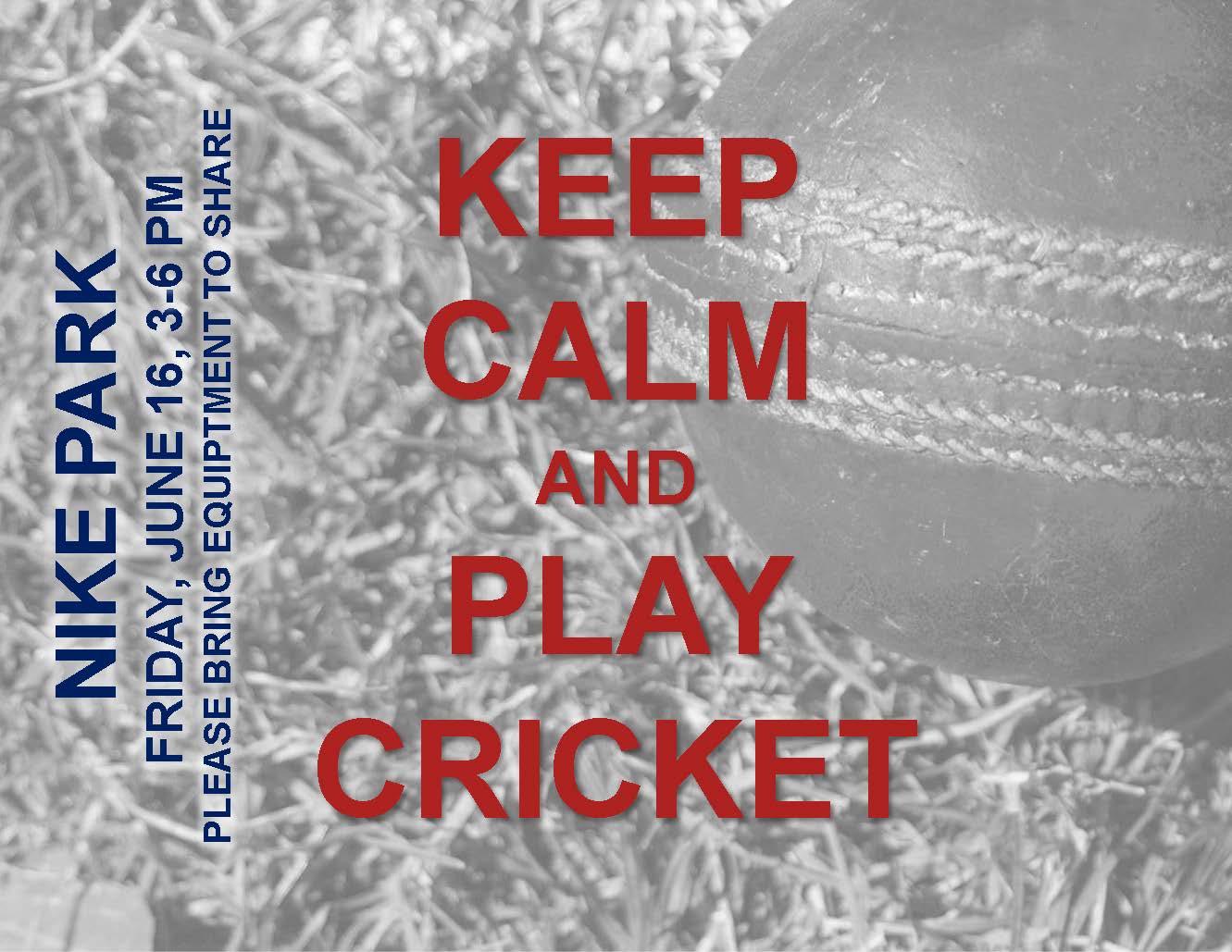 Cricket Match This Friday!